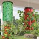 vegetales-cultivarse-maceta-invertida