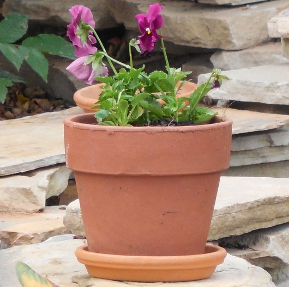 Macetas barro