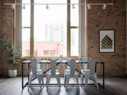 Plantas-de-interior-grandes