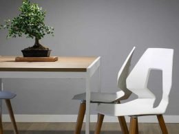 Plantas-interior-decoración