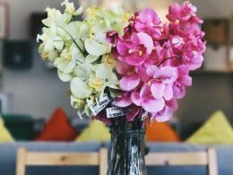 Plantas-de-interior-con-flor