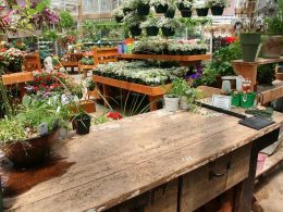 Cuidar-jardineras-madera