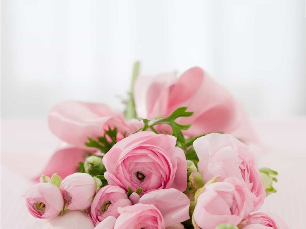 Significado rosa