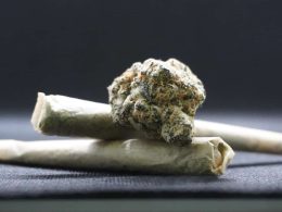 Las plantas sagradas en el mundo