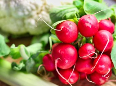Los mejores vegetales para plantar en otoño