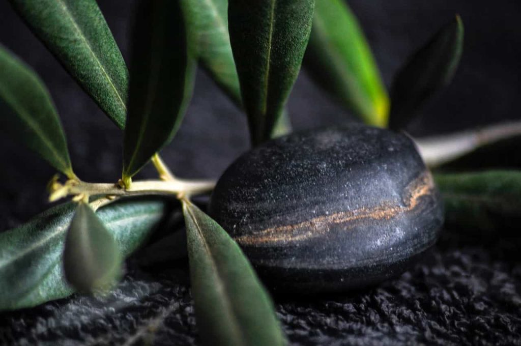 Olea Europaea var. sylvestris